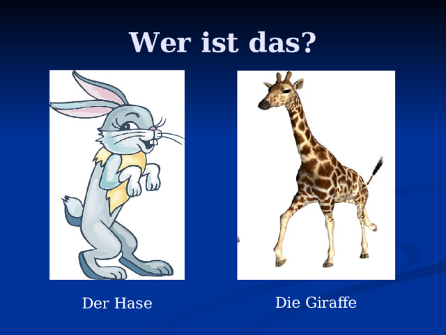 Wer ist das? Die Giraffe Der Hase 