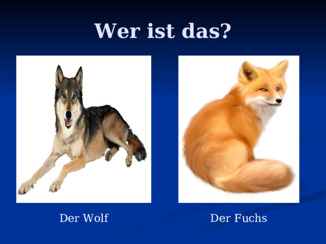 Wer ist das? Der Wolf Der Fuchs 