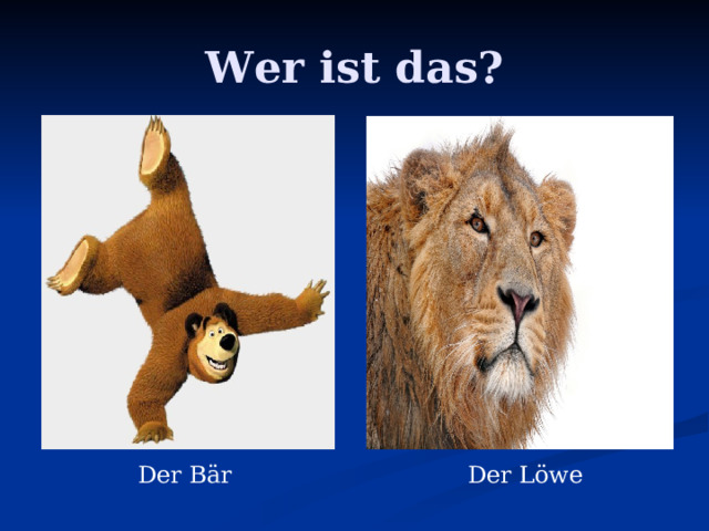 Wer ist das? Der Bär Der Löwe 