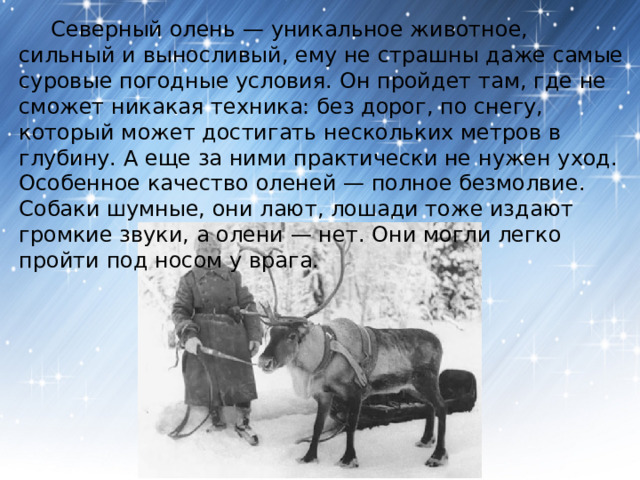  Северный олень — уникальное животное, сильный и выносливый, ему не страшны даже самые суровые погодные условия. Он пройдет там, где не сможет никакая техника: без дорог, по снегу, который может достигать нескольких метров в глубину. А еще за ними практически не нужен уход. Особенное качество оленей — полное безмолвие. Собаки шумные, они лают, лошади тоже издают громкие звуки, а олени — нет. Они могли легко пройти под носом у врага. 