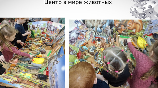            Центр в мире животных              