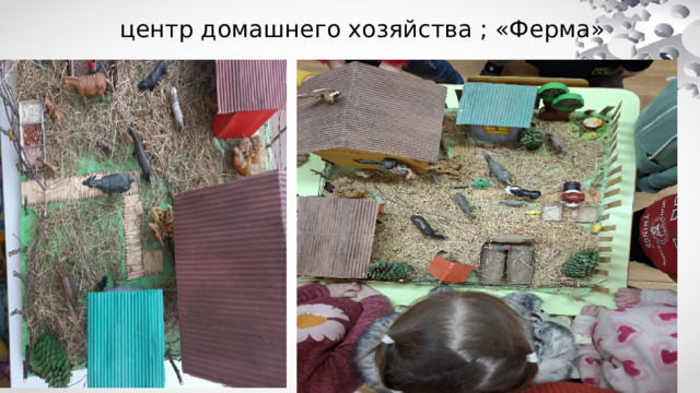центр домашнего хозяйства ; «Ферма» 