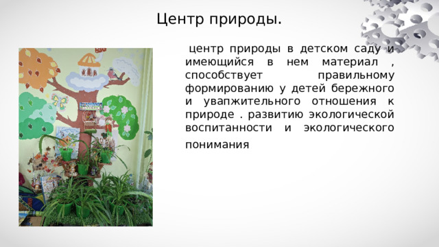 Центр природы .   центр природы в детском саду и имеющийся в нем материал , способствует правильному формированию у детей бережного и увапжительного отношения к природе . развитию экологической воспитанности и экологического понимания    
