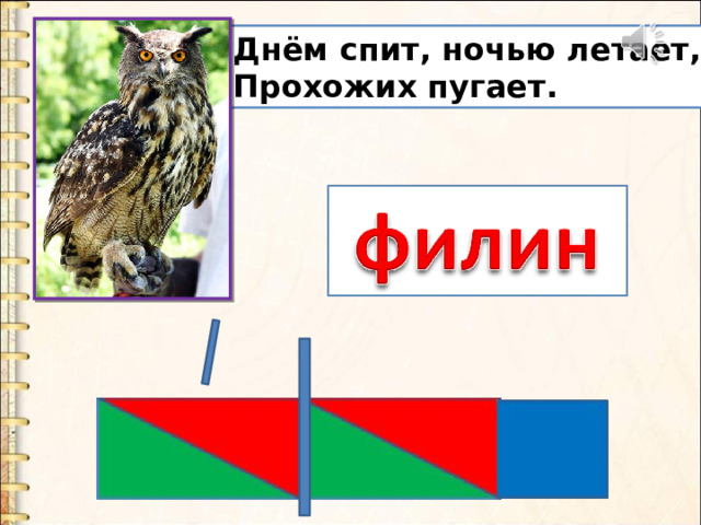 Днём спит, ночью летает, Прохожих пугает. 