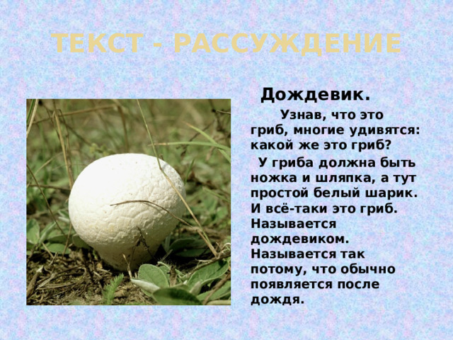 ТЕКСТ - РАССУЖДЕНИЕ  Дождевик.  Узнав, что это гриб, многие удивятся: какой же это гриб?  У гриба должна быть ножка и шляпка, а тут простой белый шарик. И всё-таки это гриб. Называется дождевиком. Называется так потому, что обычно появляется после дождя. 