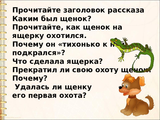 Прочитайте заголовок рассказа Каким был щенок? Прочитайте, как щенок на ящерку охотился. Почему он «тихонько к ней подкрался»? Что сделала ящерка? Прекратил ли свою охоту щенок? Почему?  Удалась ли щенку его первая охота? 