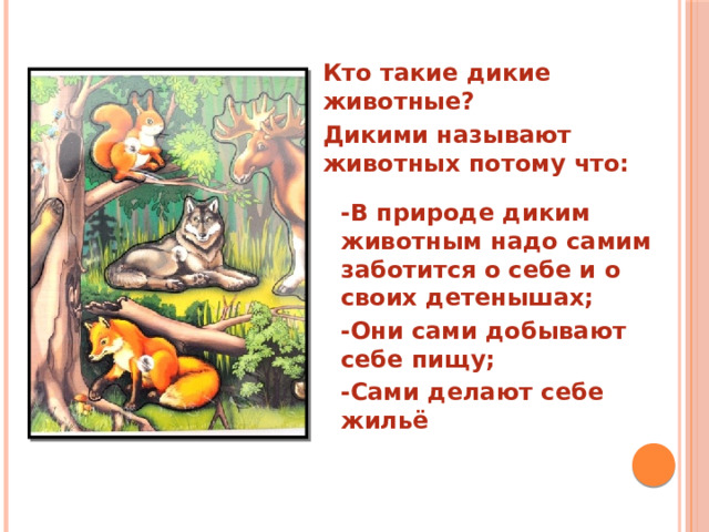            Кто такие дикие животные? Дикими называют животных потому что:  -В природе диким животным надо самим заботится о себе и о своих детенышах; -Они сами добывают себе пищу; -Сами делают себе жильё Кто такие дикие животные? Дикими называют животных потому что: -В природе диким животным надо самим заботится о себе и о своих детенышах; -Они сами добывают себе пищу; -Сами делают себе жильё  