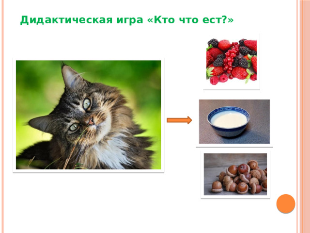 Дидактическая игра «Кто что ест?» Дидактическая игра «Кто что ест?»  