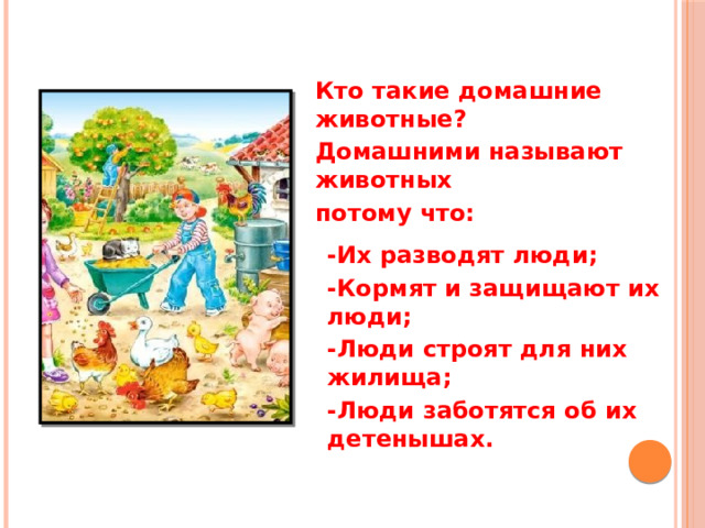            Кто такие домашние животные? Домашними называют животных потому что: -Их разводят люди; -Кормят и защищают их люди; -Люди строят для них жилища; -Люди заботятся об их детенышах. Кто такие домашние животные? Домашними называют животных потому что: Их разводят люди; Кормят и защищают их люди; Люди строят для них жилища; Люди заботятся об их детенышах.  