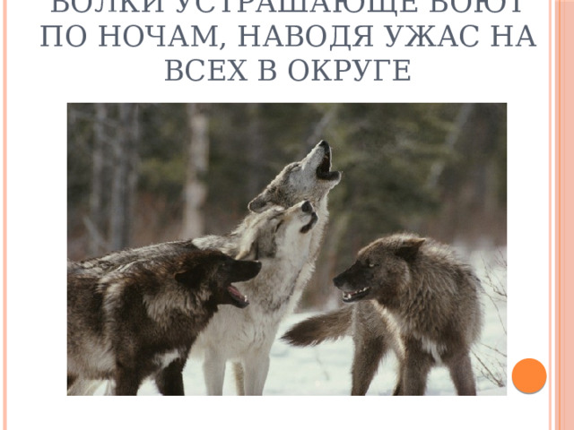 Волки устрашающе воют по ночам, наводя ужас на всех в округе 