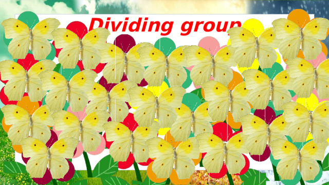 spring spring spring spring summer summer summer summer summer summer winter winter winter Dividing group: winter autumn autumn autumn spring winter autumn winter spring autumn autumn  