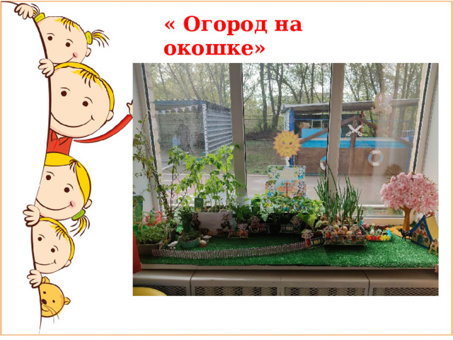 « Огород на окошке» 
