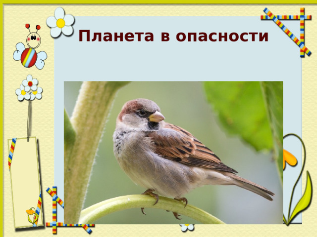 Планета в опасности 