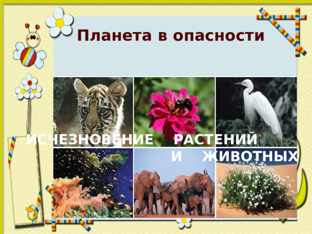 Планета в опасности  ИСЧЕЗНОВЕНИЕ РАСТЕНИЙ  И ЖИВОТНЫХ 