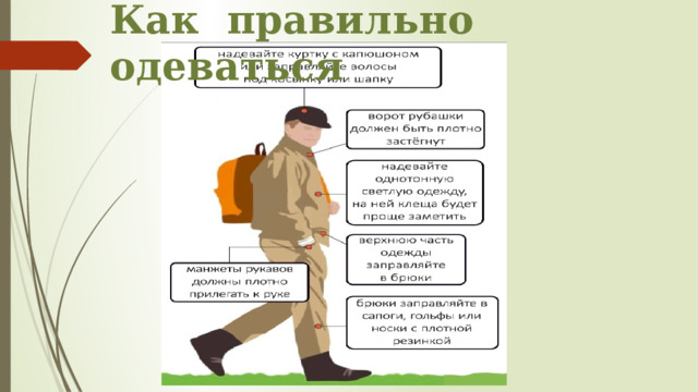 Как правильно одеваться 