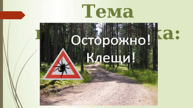 Тема инструктажа: 