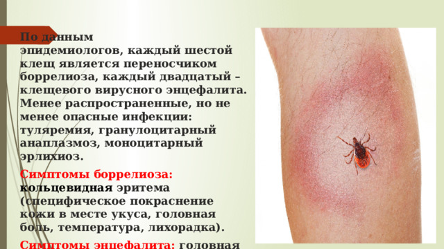 По данным эпидемиологов, каждый шестой клещ является переносчиком боррелиоза, каждый двадцатый – клещевого вирусного энцефалита. Менее распространенные, но не менее опасные инфекции: туляремия, гранулоцитарный анаплазмоз, моноцитарный эрлихиоз. Симптомы  боррелиоза: кольцевидная эритема (специфическое покраснение кожи в месте укуса, головная боль, температура, лихорадка). Симптомы  энцефалита:   головная боль, боль в глазах, температура, вялость, жидкий стул.  