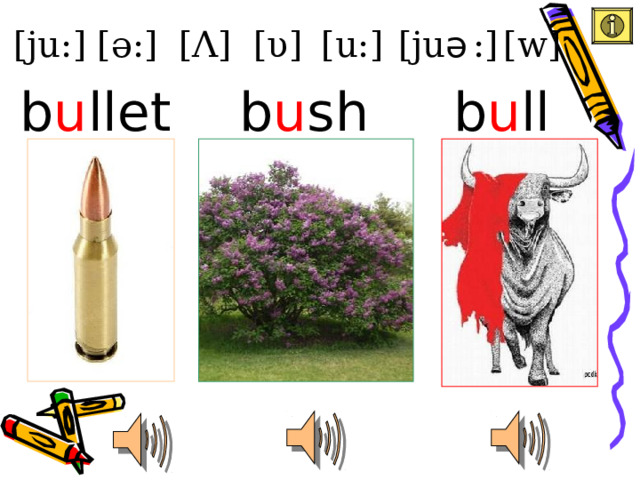 [ju:] [ υ ] [ Λ ] [ə:] [ju ə  :] [w] [u:] b u ll b u sh b u llet 