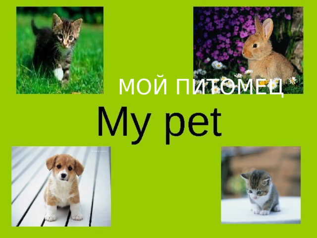 МОЙ ПИТОМЕЦ 