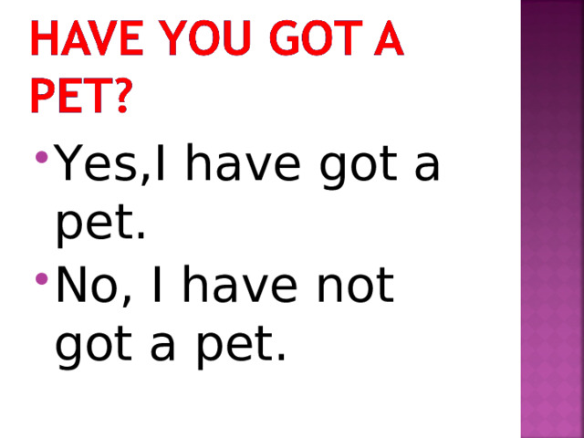 Yes,I have got a pet. No, I have not got a pet.  