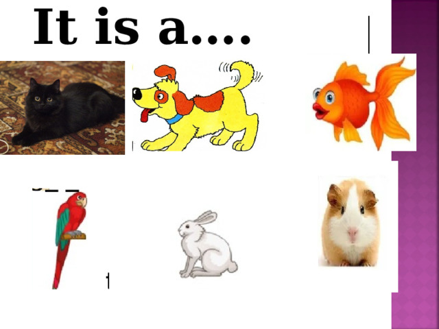 It is a….   
