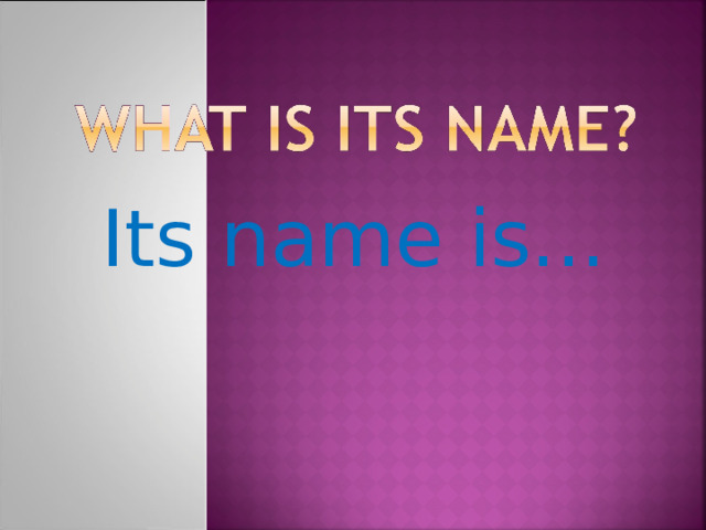 Its name is... 