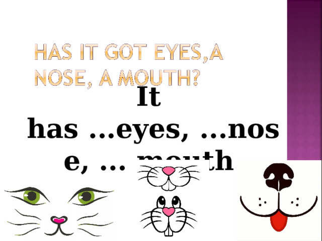 It has ...eyes, ...nose, ....mouth. 