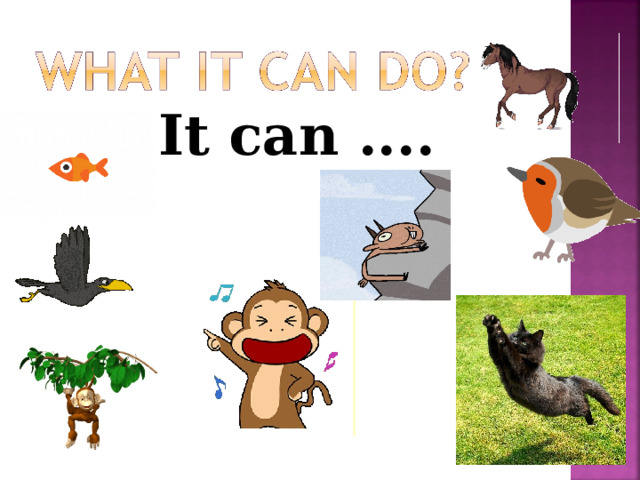 It can  ....   