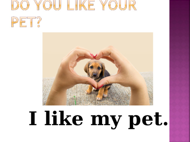 I like my pet. 