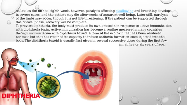 As late as the fifth to eighth week, however, paralysis affecting  swallowing  and breathing develops in severe cases, and the patient may die after weeks of apparent well-being. Later still, paralysis of the limbs may occur, though it is not life-threatening. If the patient can be supported through this critical phase, recovery will be complete. To prevent diphtheria, the body must produce its own antitoxin in response to active immunization with diphtheria toxin. Active immunization has become a routine measure in many countries through immunization with diphtheria toxoid, a form of the exotoxin that has been rendered nontoxic but that has retained its capacity to induce antitoxin formation once injected into the body. The diphtheria toxoid is usually first given in several successive doses during the first few months of life, with booster doses within one or two years and again at five or six years of age. 