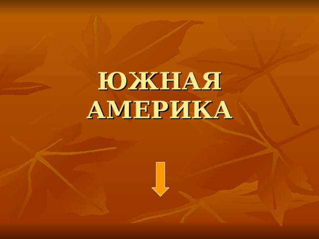 ЮЖНАЯ АМЕРИКА 