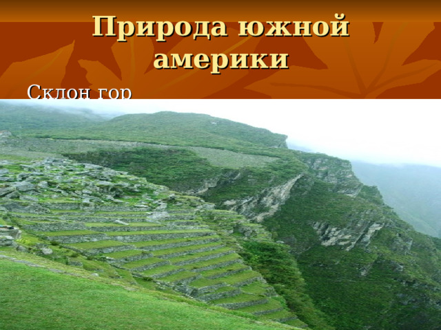 Природа южной америки Склон гор 