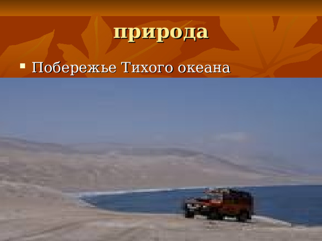 природа Побережье Тихого океана 