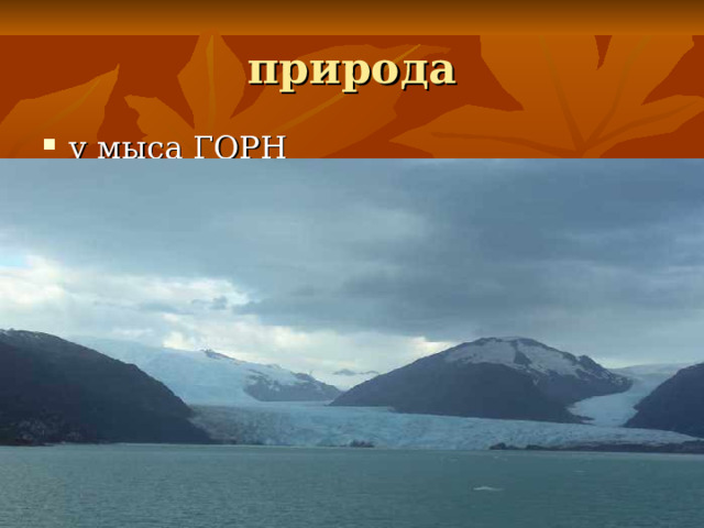 природа у мыса ГОРН 