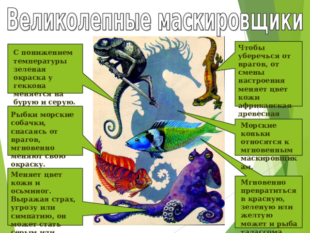 Чтобы уберечься от врагов, от смены настроения меняет цвет кожи африканская древесная ящерица хамелеон. С понижением температуры зеленая окраска у геккона меняется на бурую и серую. Рыбки морские собачки, спасаясь от врагов, мгновенно меняют свою окраску. Морские коньки относятся к мгновенным маскировщикам. Меняет цвет кожи и осьминог. Выражая страх, угрозу или симпатию, он может стать серым или красным. Мгновенно превратиться в красную, зеленую или желтую может и рыба талассома. 