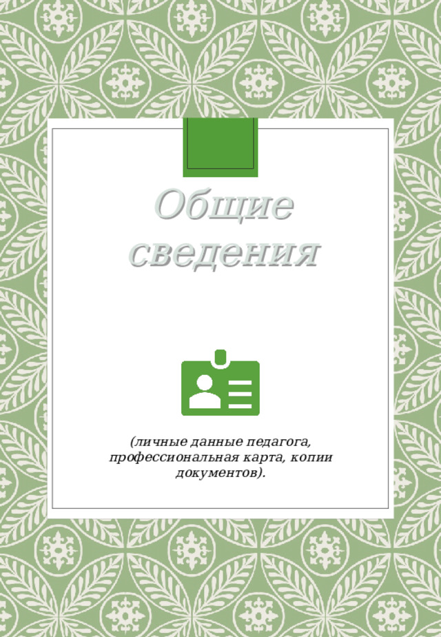 Общие сведения (личные данные педагога, профессиональная карта, копии документов) . 