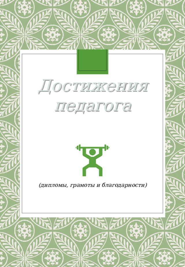 Достижения педагога (дипломы, грамоты и благодарности ) 
