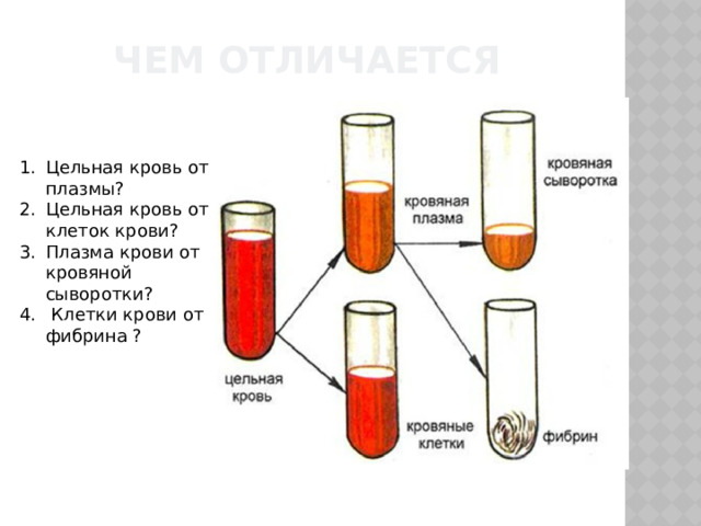 Чем отличается Цельная кровь от плазмы? Цельная кровь от клеток крови? Плазма крови от кровяной сыворотки?  Клетки крови от фибрина ? 