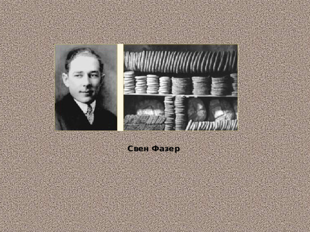 Свен Фазер  