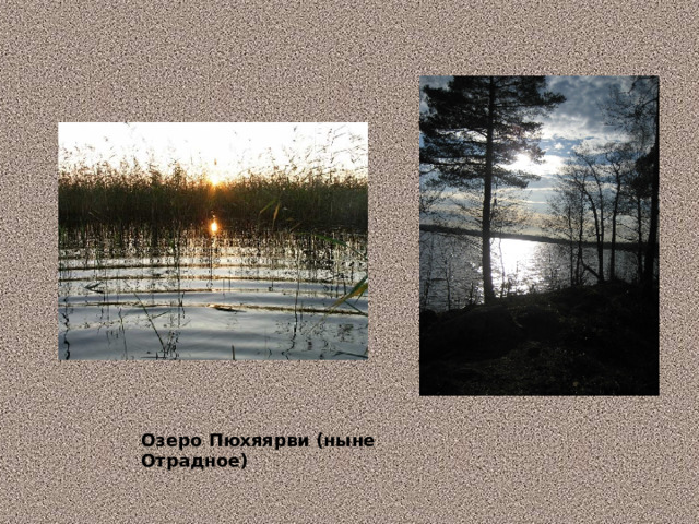 Озеро Пюхяярви (ныне Отрадное) 