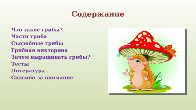 Содержание Что такое грибы? Части гриба Съедобные грибы Грибная викторина Зачем выращивать грибы? Тесты Литература Спасибо за внимание   