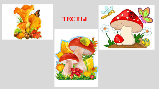 ТЕСТЫ 