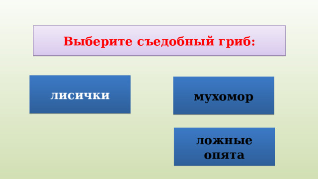 Выберите съедобный гриб: лисички мухомор ложные опята 