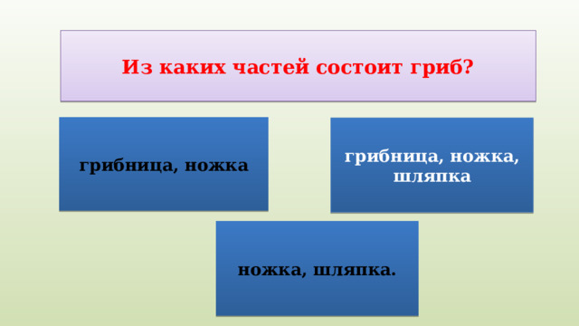 Из каких частей состоит гриб? грибница, ножка грибница, ножка, шляпка ножка, шляпка. 