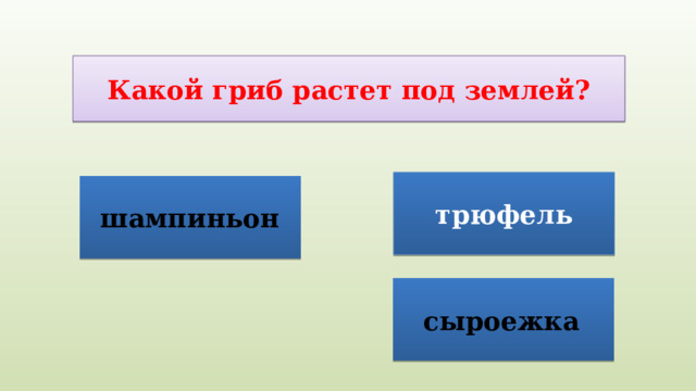 Какой гриб растет под землей? трюфель шампиньон сыроежка  