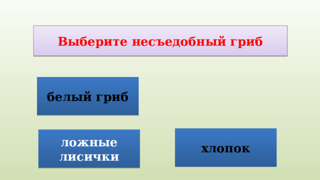 Выберите несъедобный гриб белый гриб хлопок ложные лисички 
