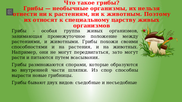 Что такое грибы?  Грибы — необычные организмы, их нельзя отнести ни к растениям, ни к животным. Поэтому их относят к специальному царству живых организмов Грибы - особая группа живых организмов, занимающая промежуточное положение между растениями, и животными. Грибы похожи своими способностями и на растения, и на животных. Например, они не могут передвигаться, зато могут расти и питаются путем всасывания. Грибы размножаются спорами, которые образуются во внутренней части шляпки. Из спор способны вырасти новые грибницы. Грибы бывают двух видов: съедобные и несъедобные 