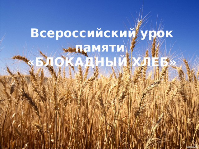 Всероссийский урок памяти «БЛОКАДНЫЙ ХЛЕБ»     