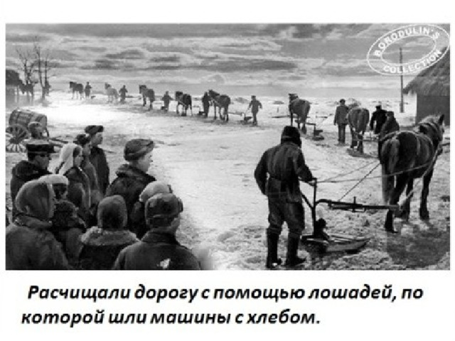 Расчищали дорогу с помощью лошадей, по которой шли машины с хлебом. 