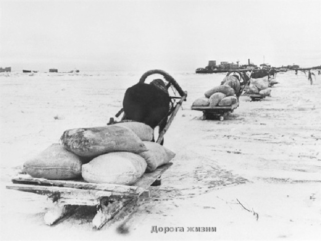  Дорога жизни 